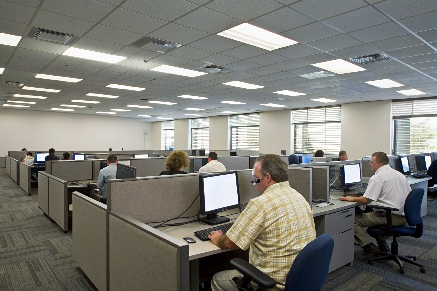 Insurance agents examining policy availability on computers.