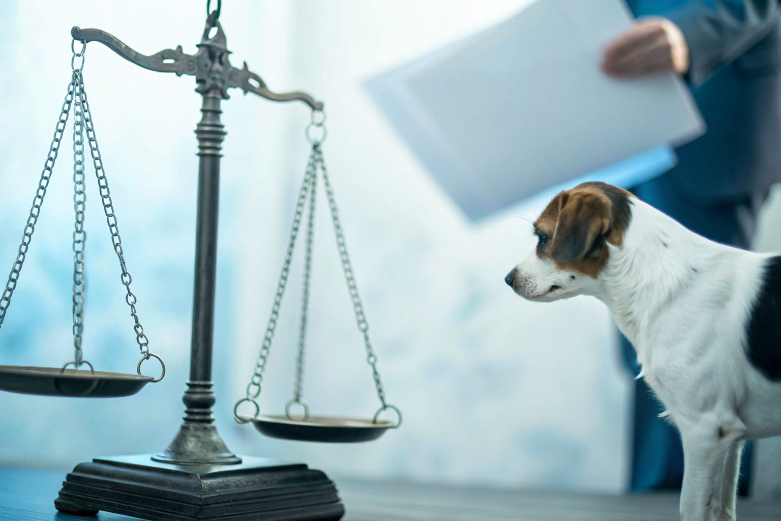 Scales of justice tipped towards strict liability with a dog holding a legal document.